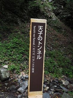P8080042_thumb.png
