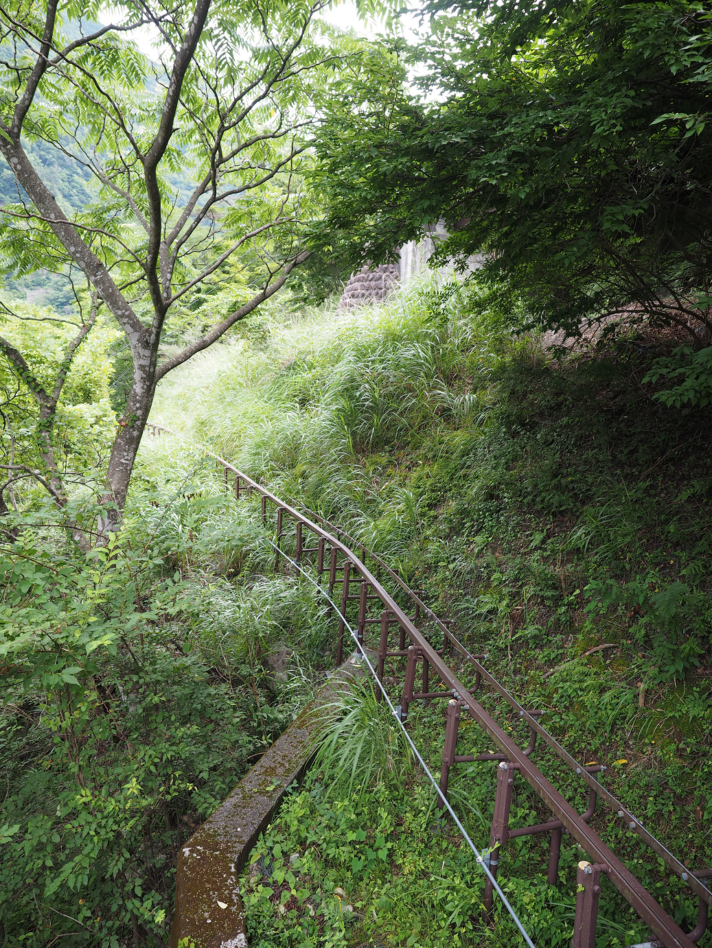 P8080051.jpg
