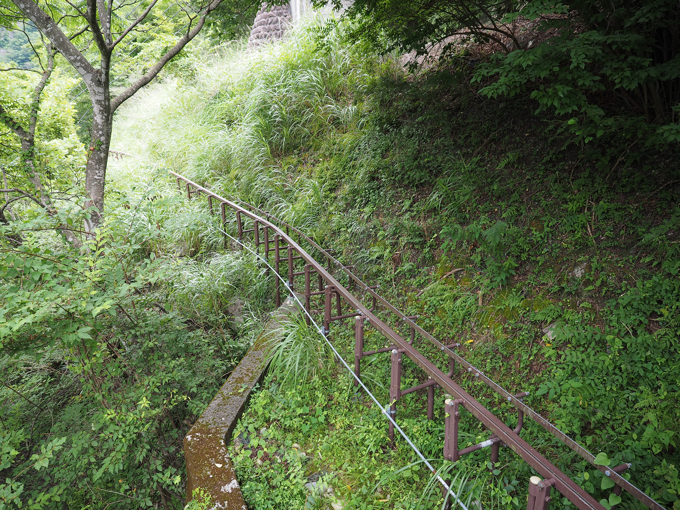 P8080052.jpg