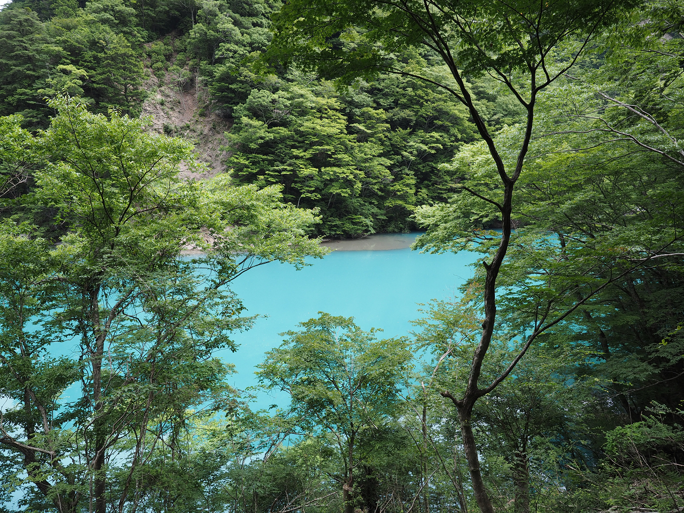 P8080054.jpg