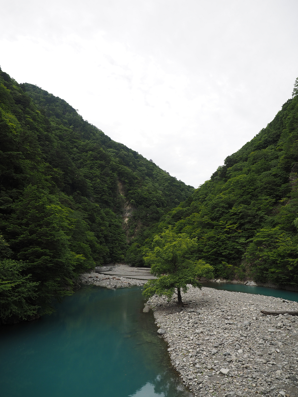 P8080075.jpg