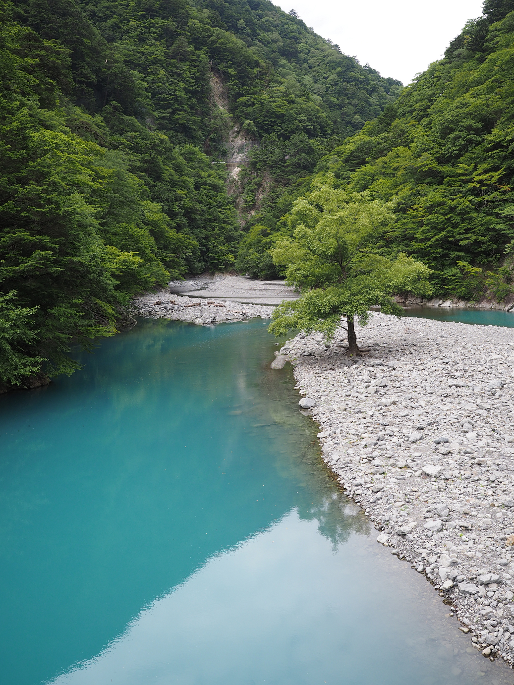 P8080080.jpg