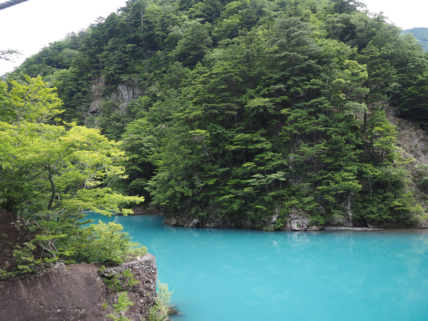 P8080084.jpg