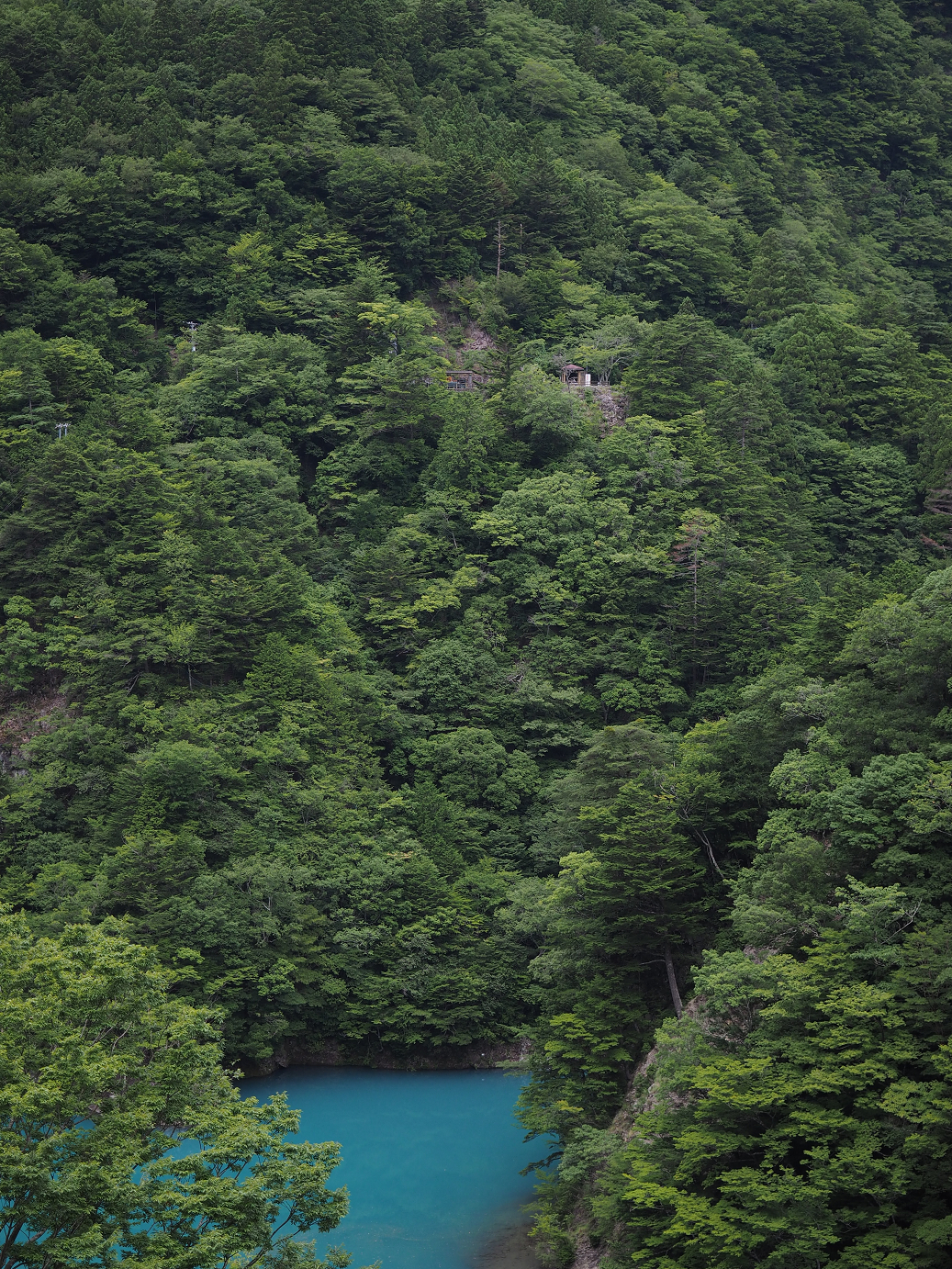 P8080130.jpg