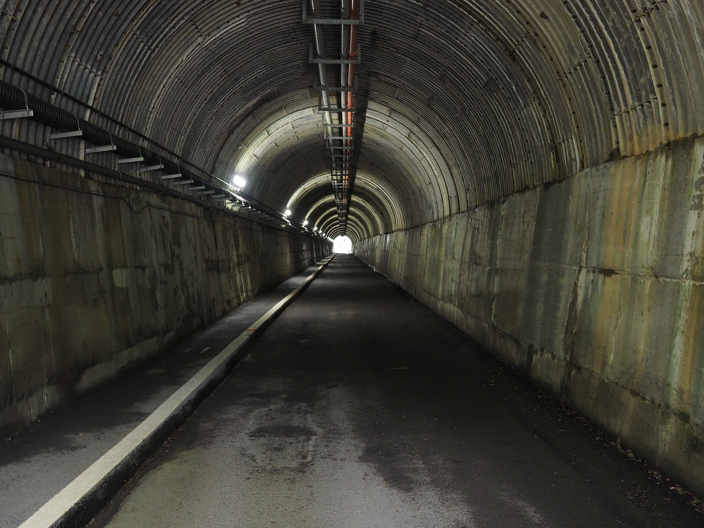 P8080137.jpg