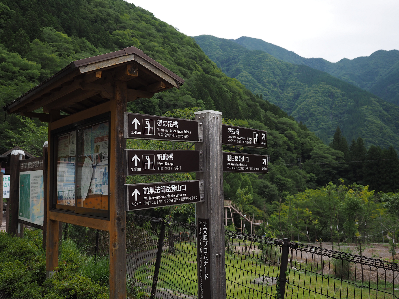 P8080141.jpg