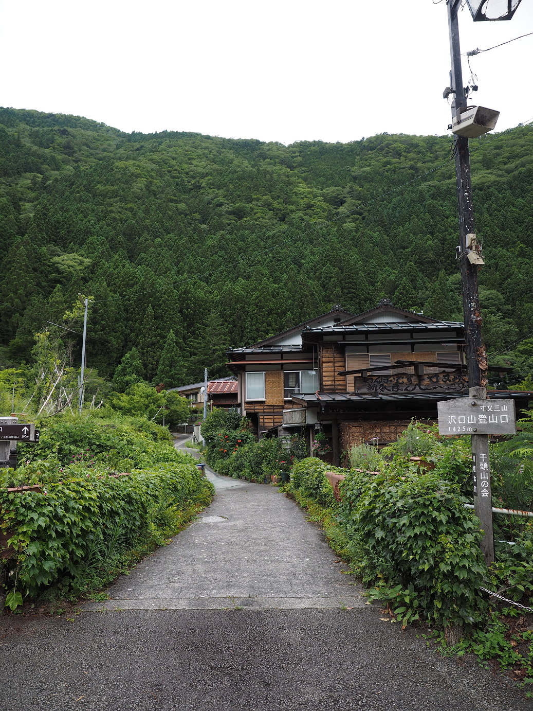 P8080161.jpg