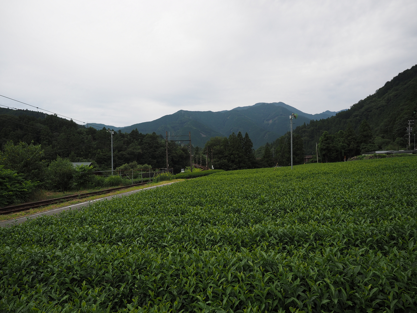 P8080178.jpg