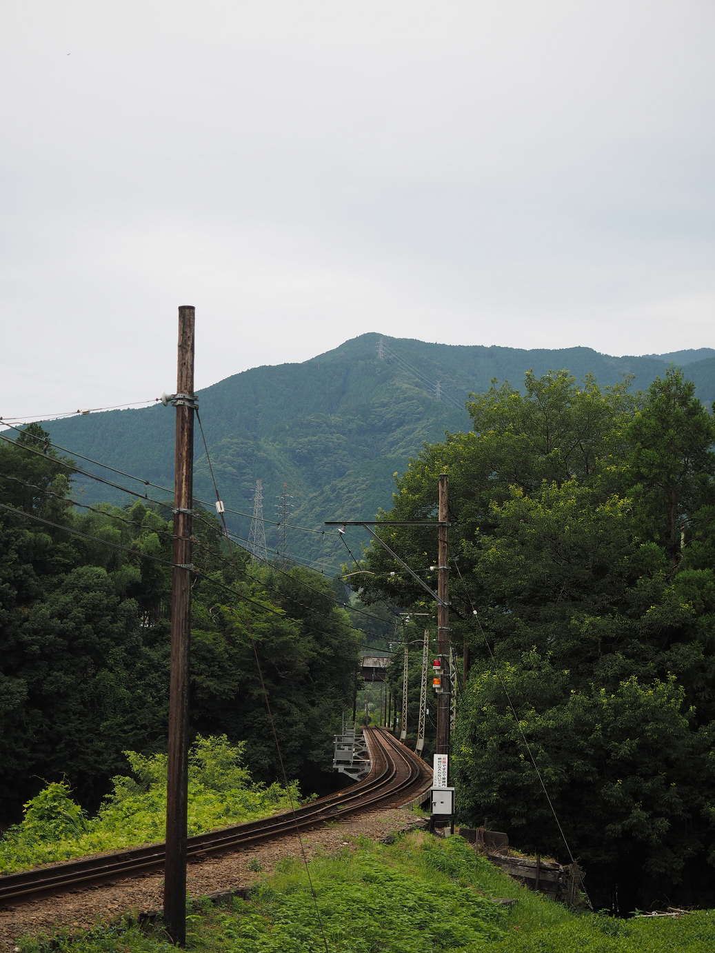 P8080184.jpg