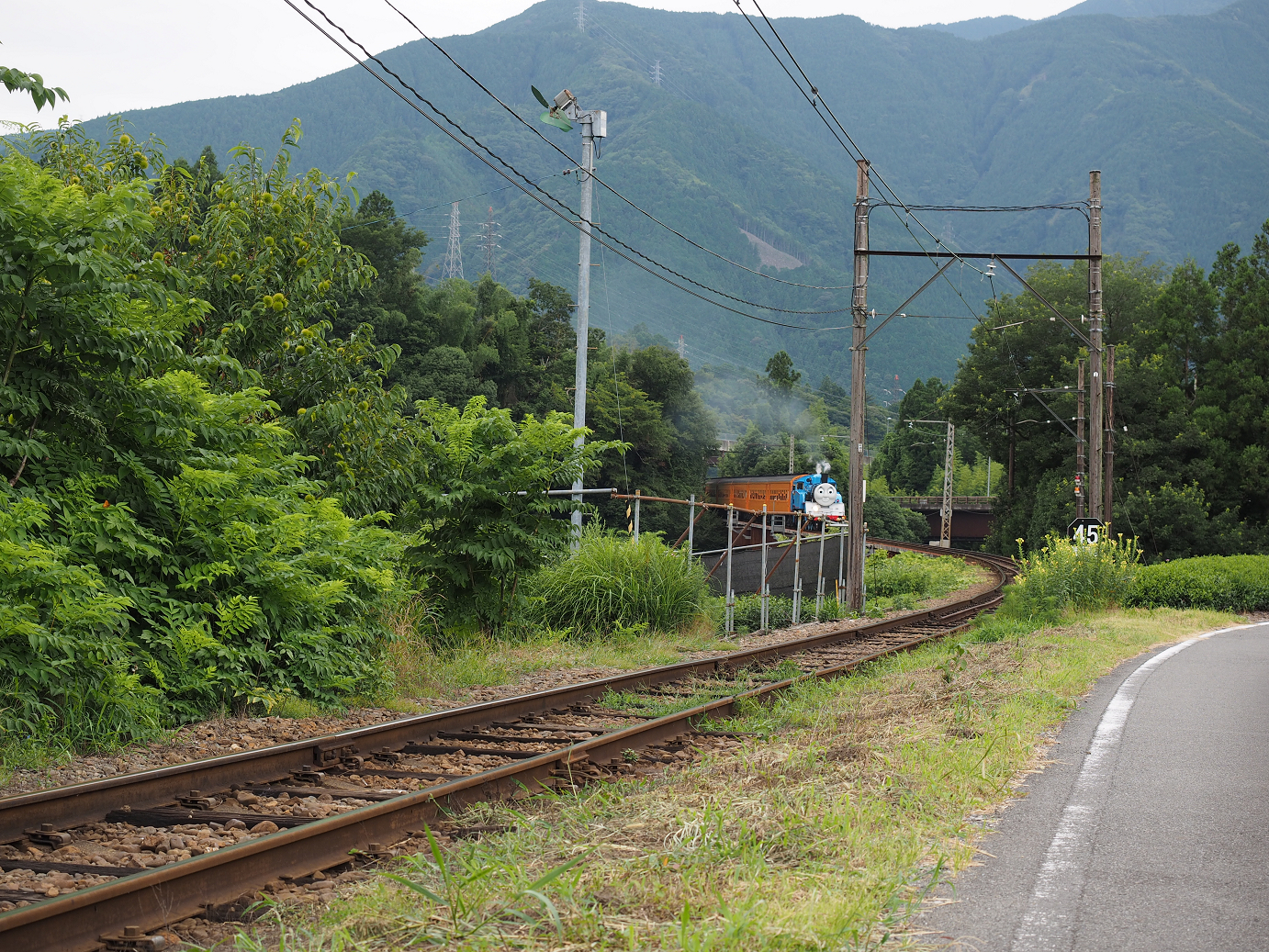 P8080197.jpg