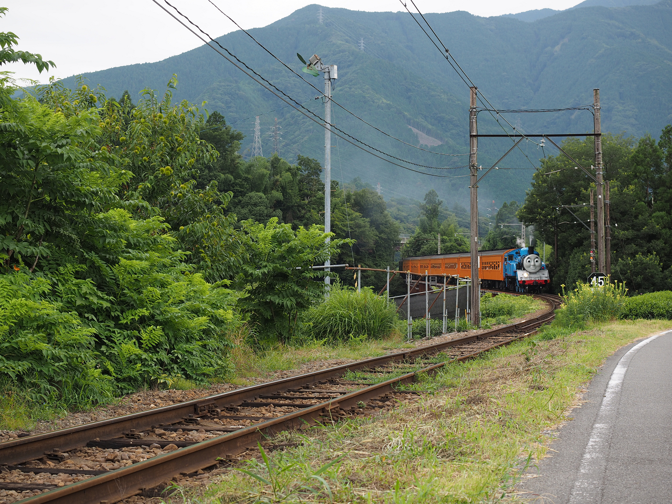 P8080200.jpg
