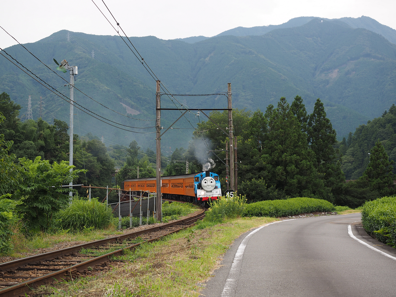 P8080201.jpg