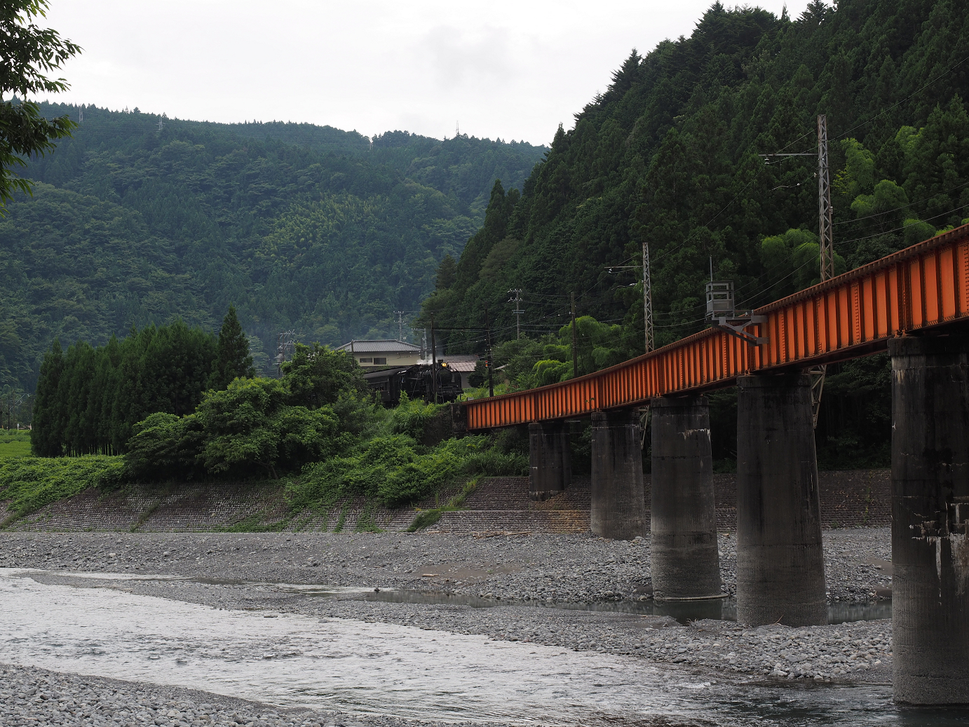 P8080317.jpg