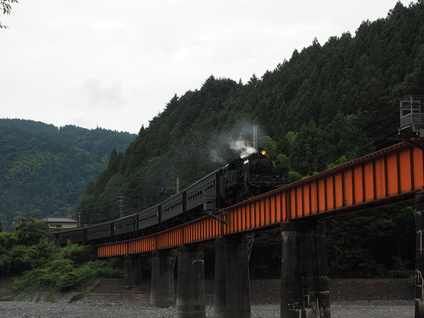 P8080328.jpg