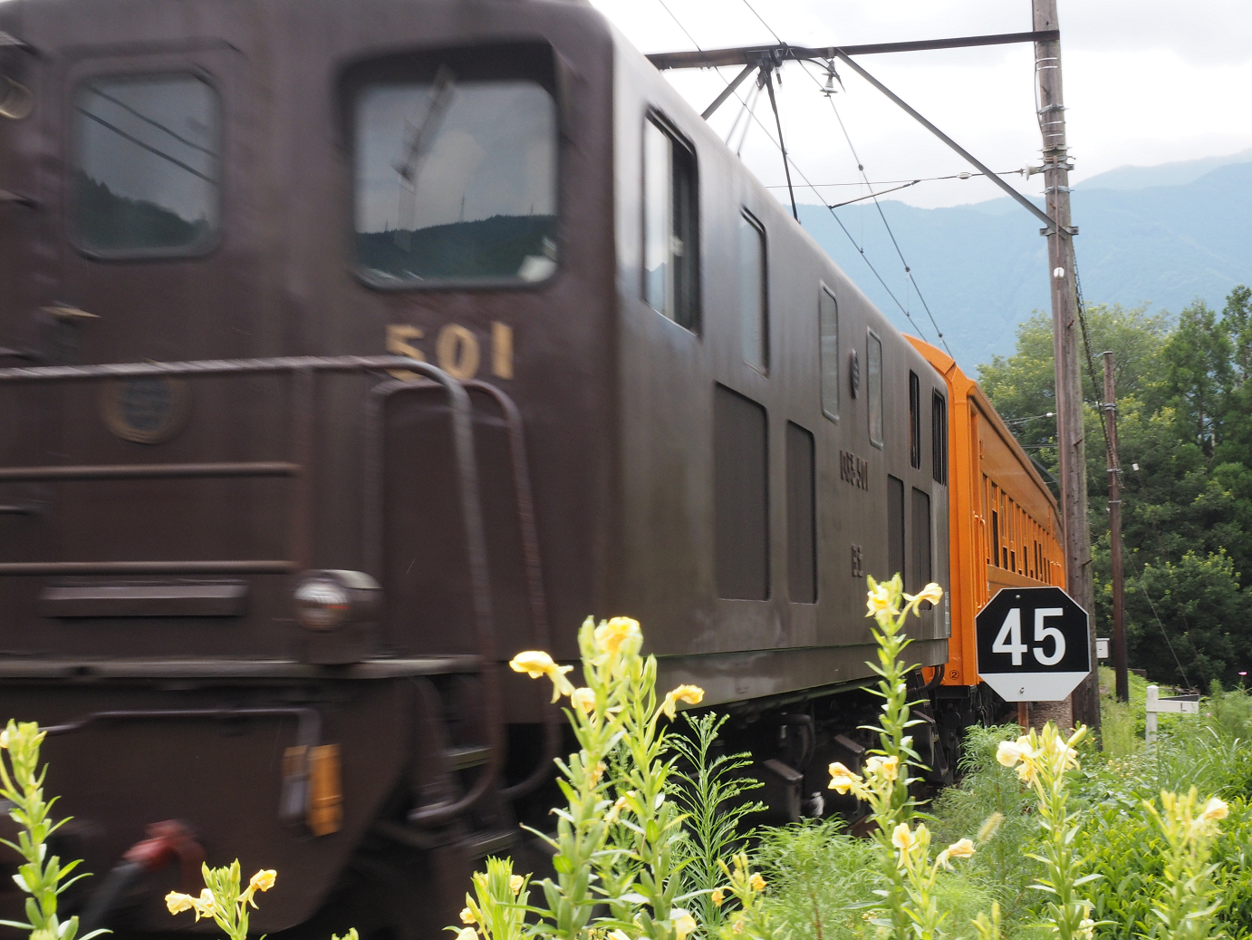 P8080422.jpg