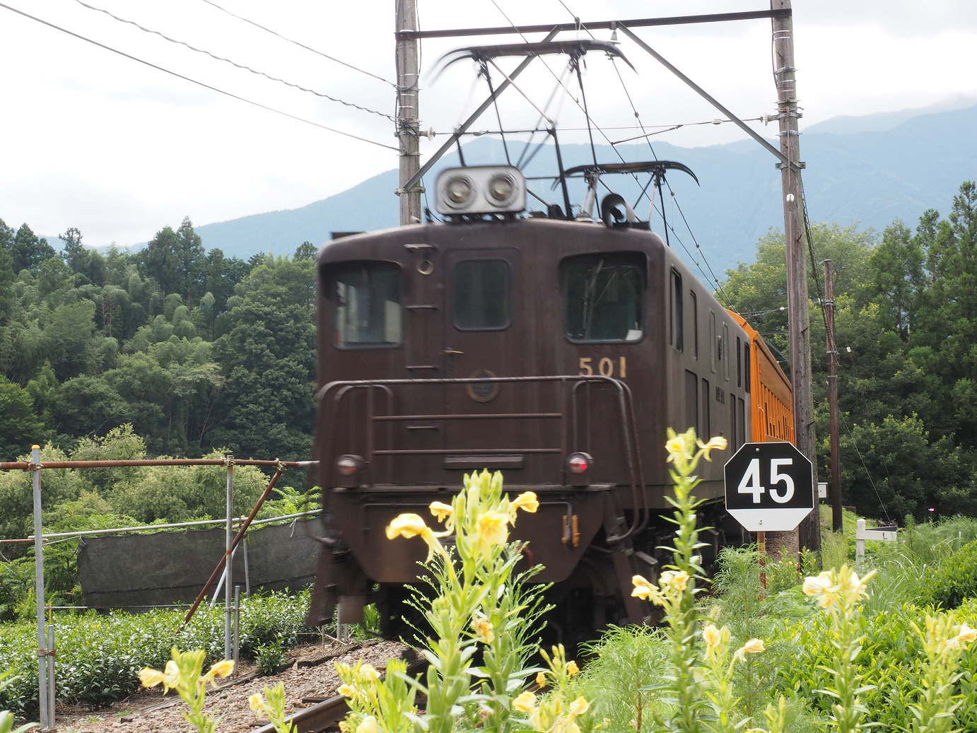 P8080426.jpg
