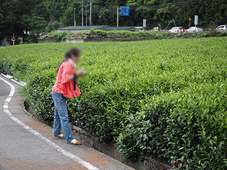 P8080436_thumb.png