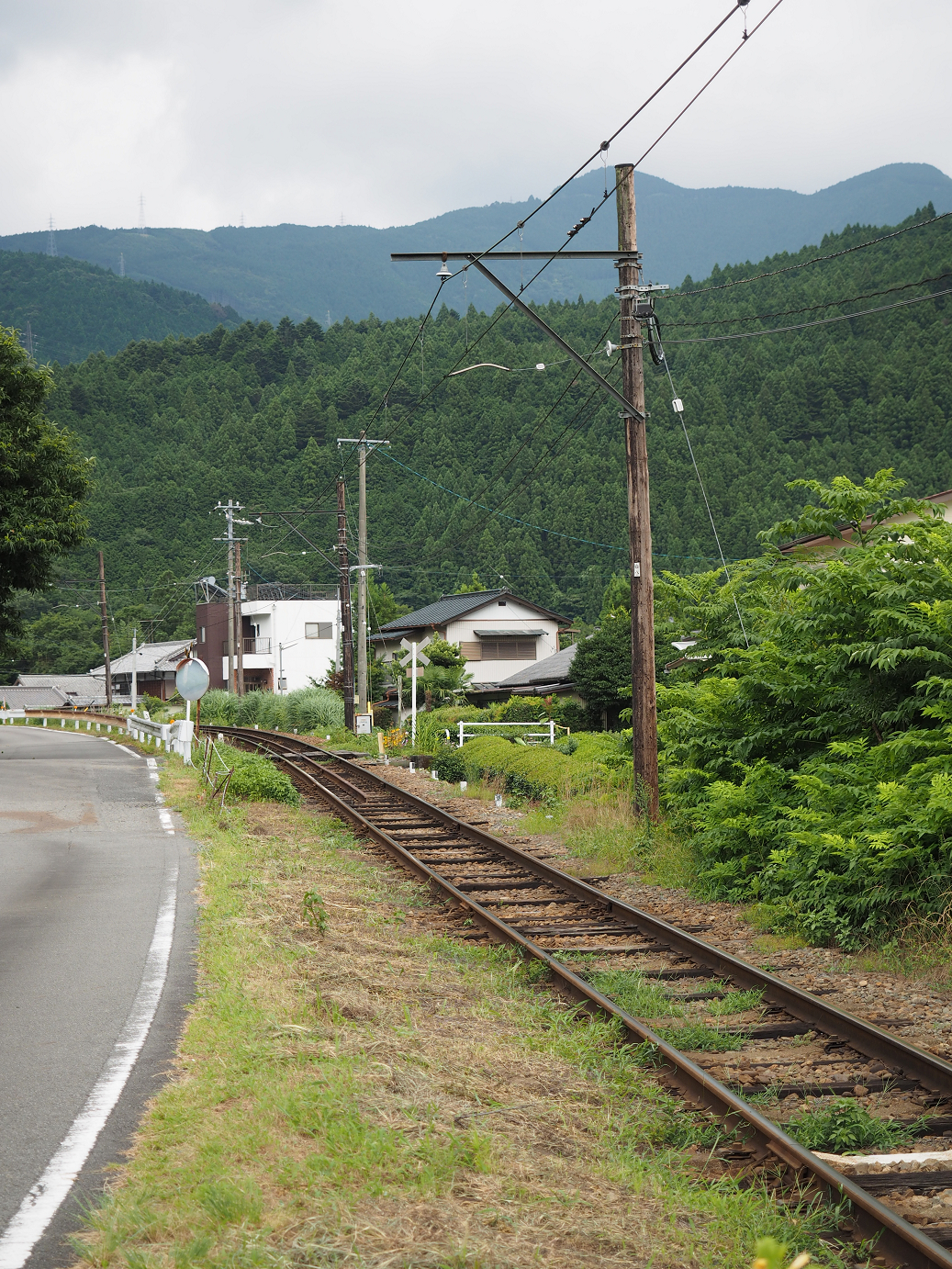 P8080438.jpg