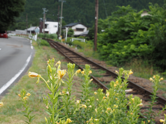 P8080440_thumb.png