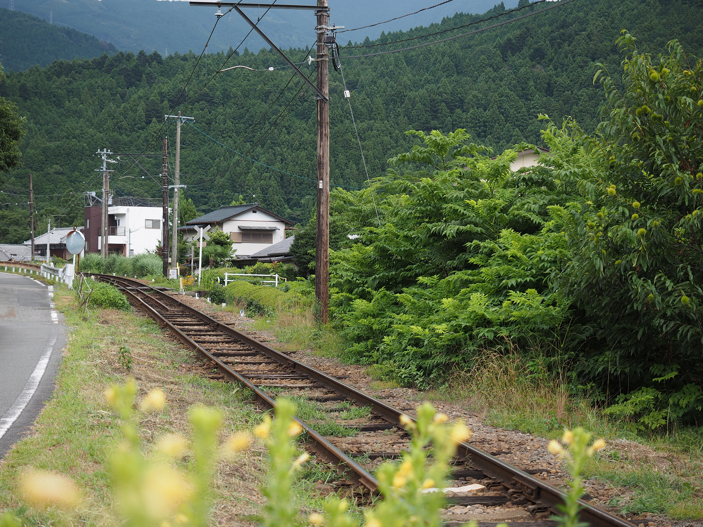 P8080444.jpg