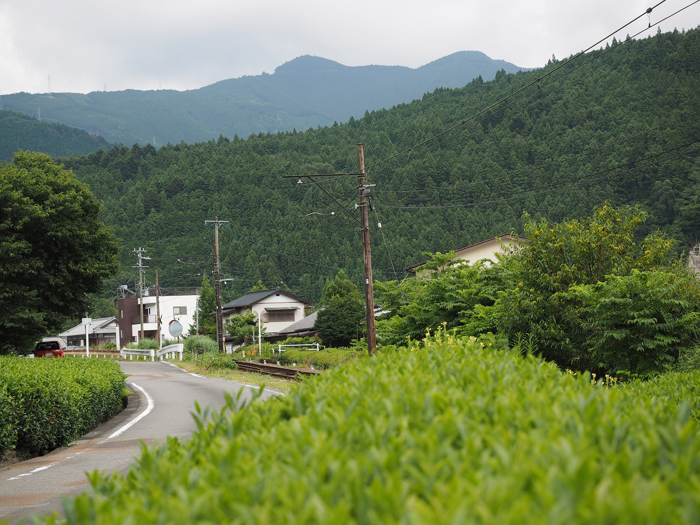 P8080446.jpg