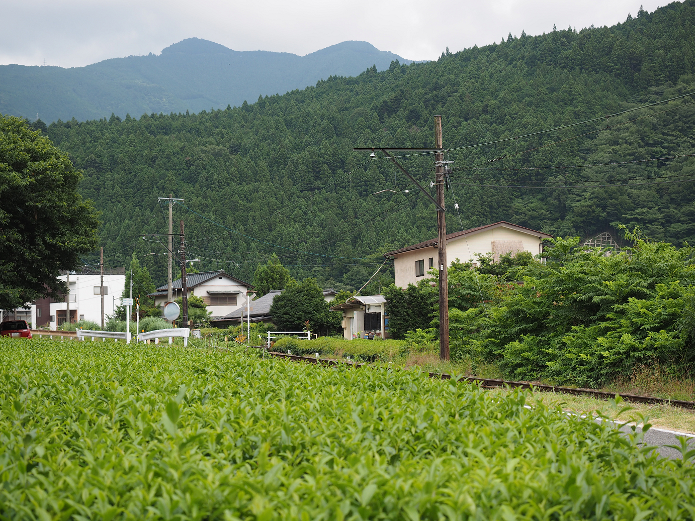 P8080448.jpg