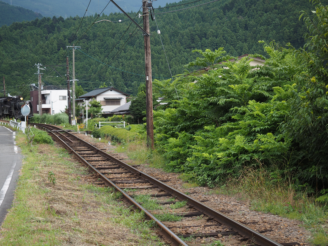 P8080450.jpg