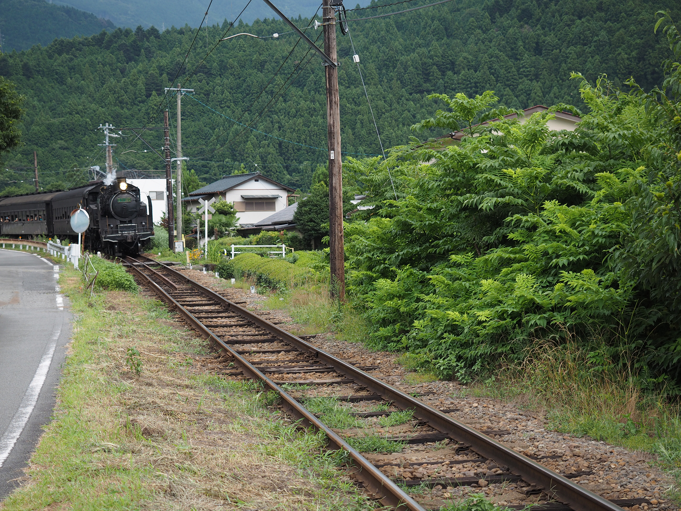 P8080452.jpg