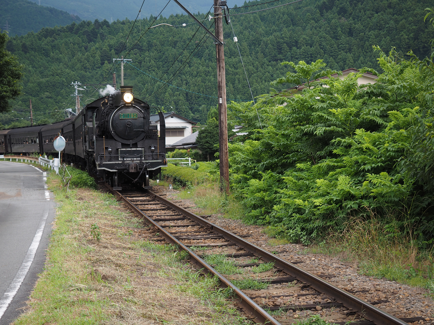 P8080456.jpg