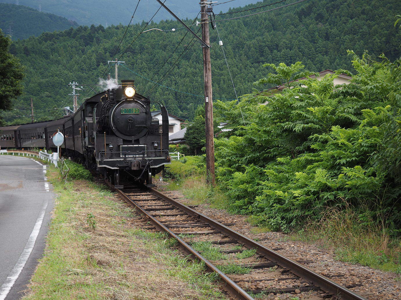 P8080459.jpg