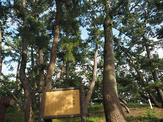 P8080520_thumb.png