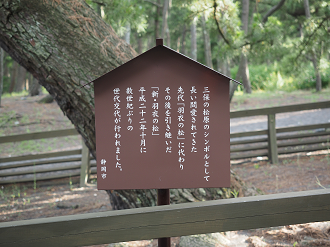 P8080543_thumb.png