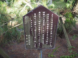 P8080546_thumb.png