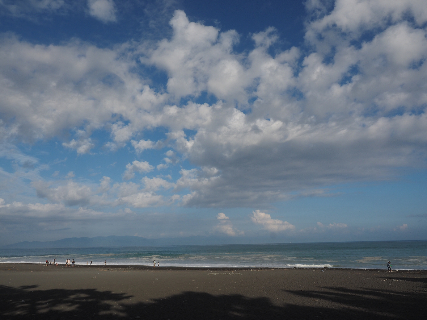 P8080556.jpg