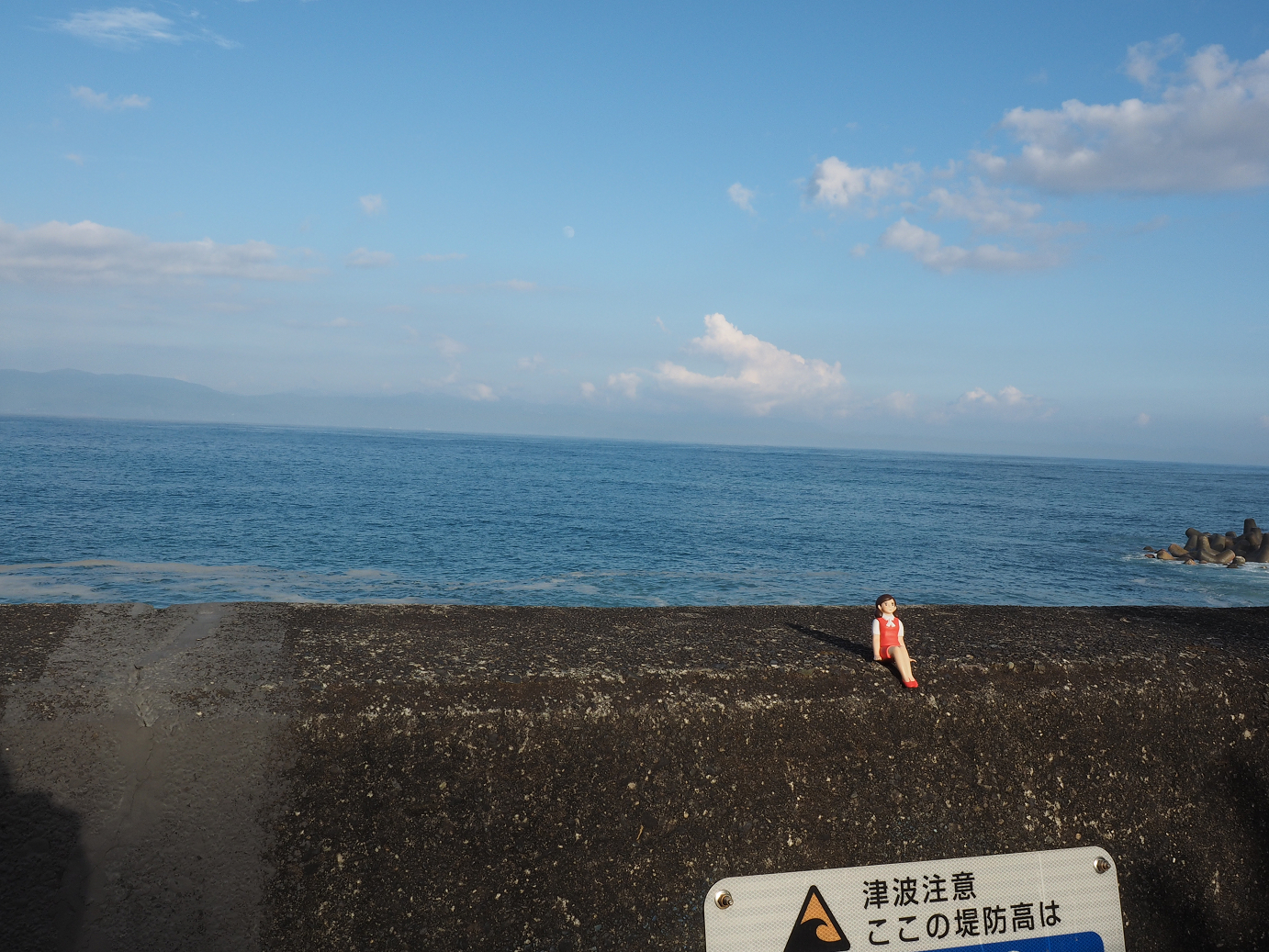 P8080594.jpg