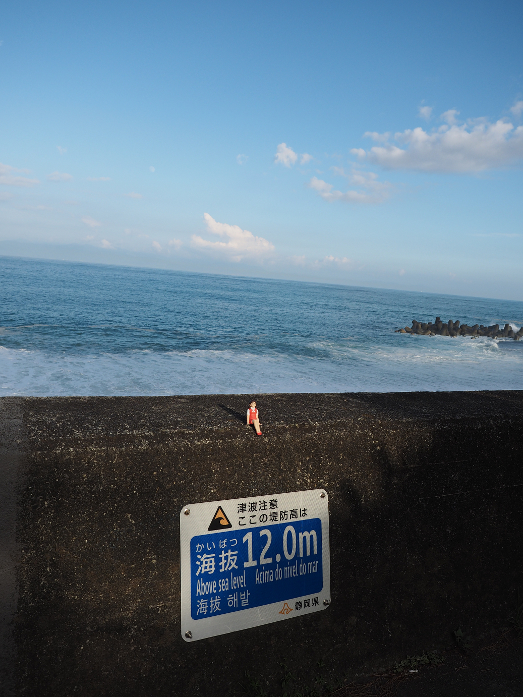 P8080606.jpg