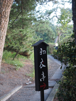 P8080693_thumb.png