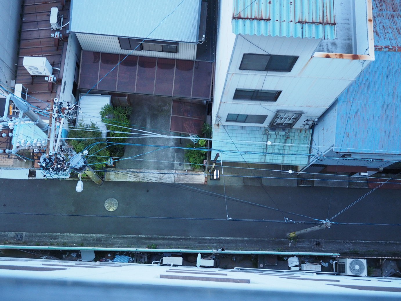 P8080720.jpg