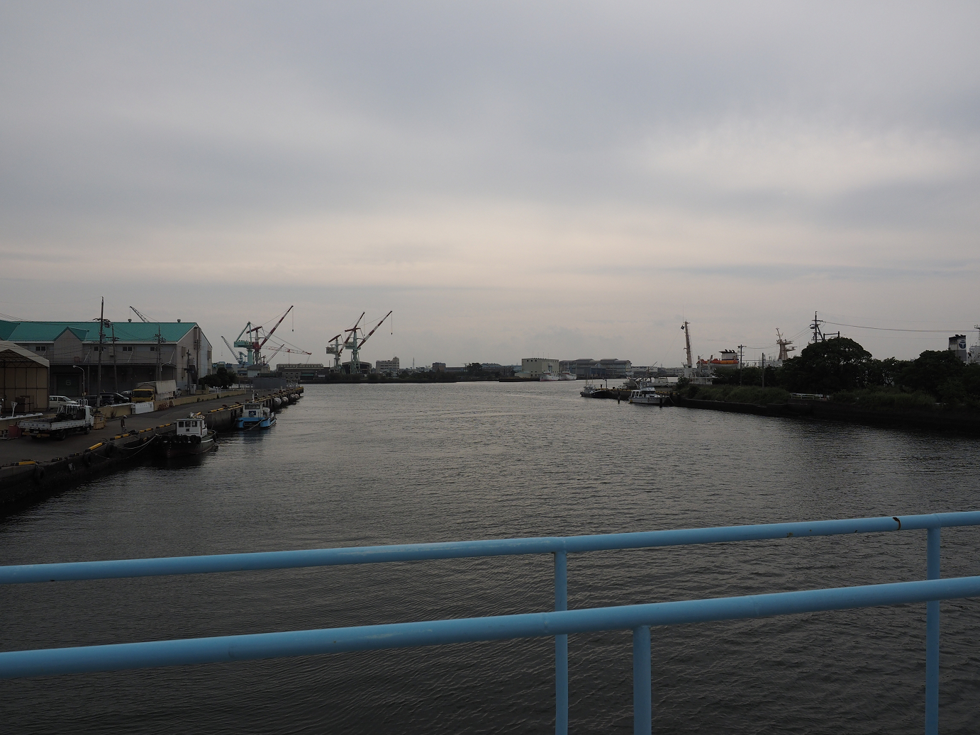 P8090020.jpg