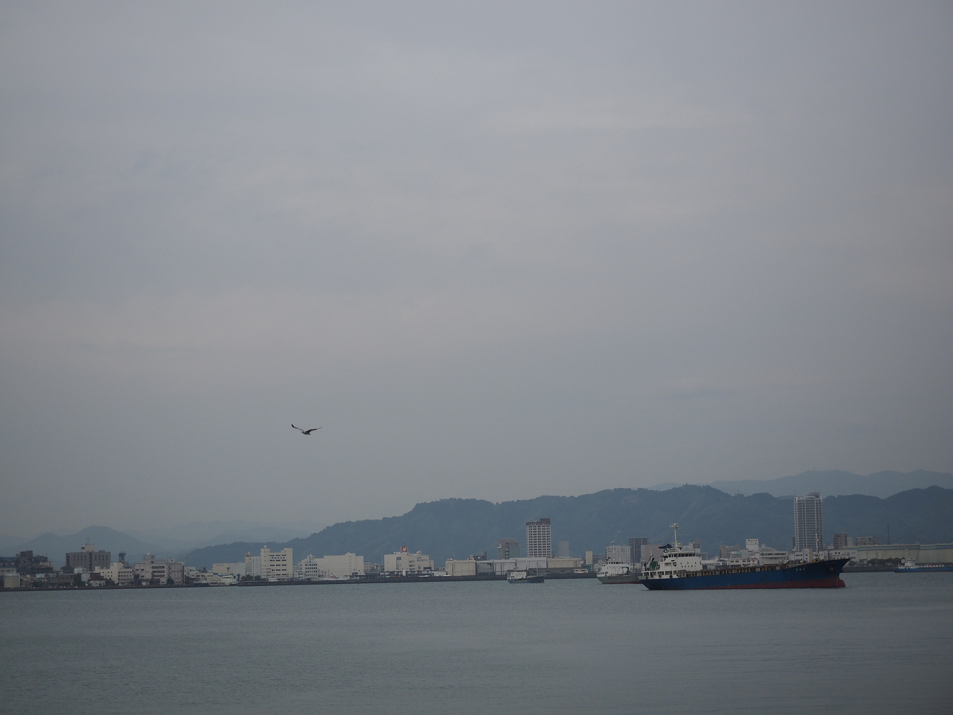 P8090046.jpg