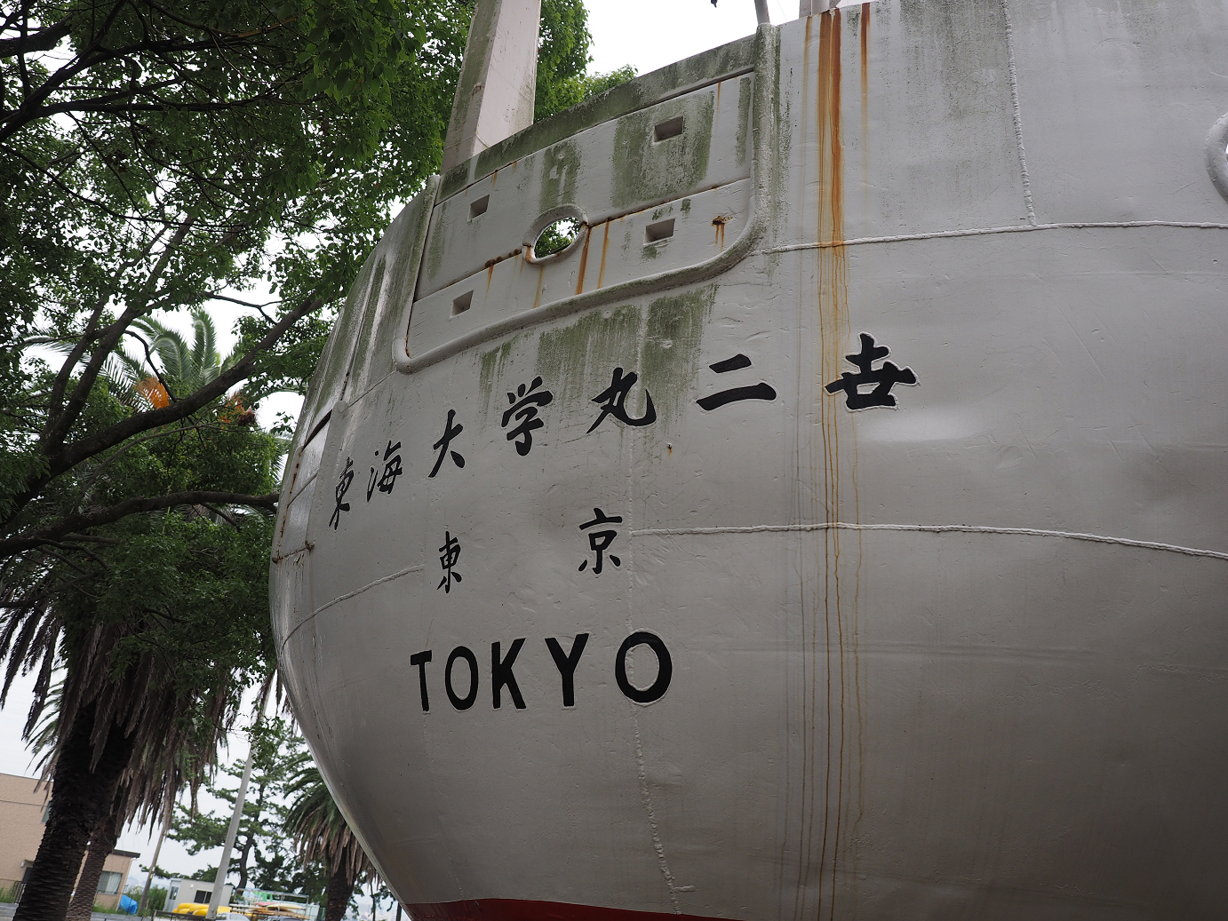 P8090055.jpg