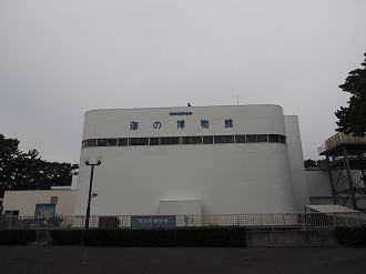 P8090079_thumb.png