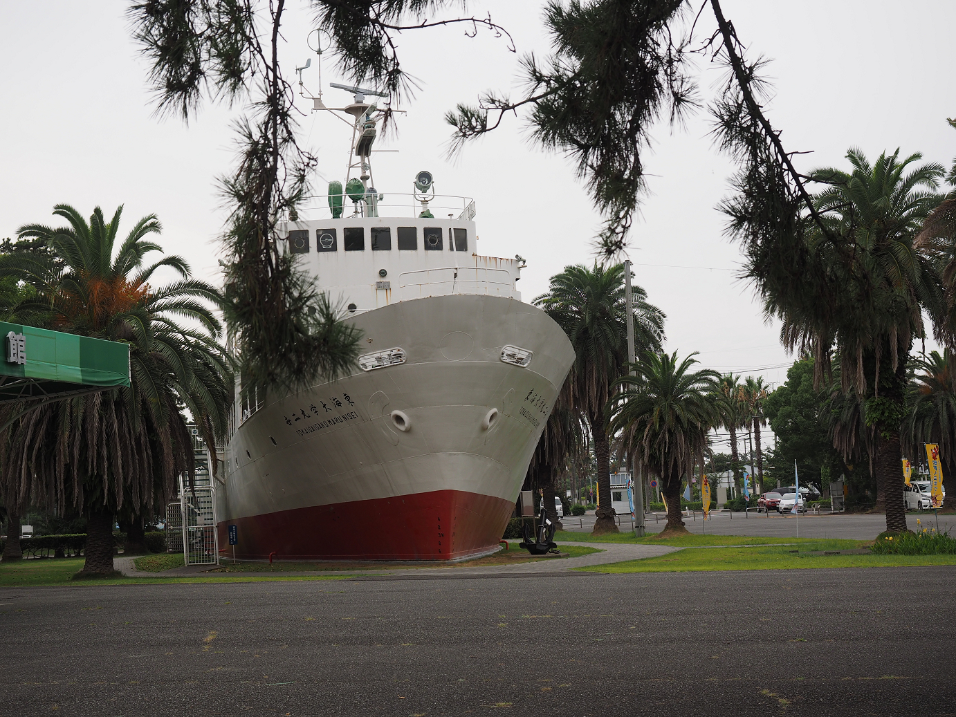 P8090080.jpg