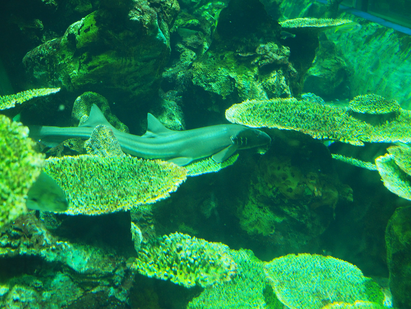 P8090162.jpg