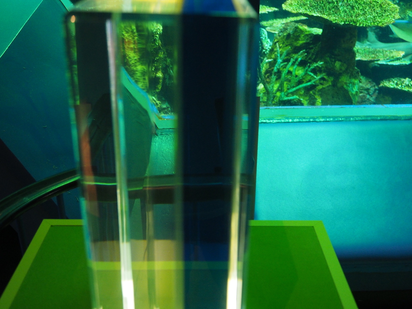 P8090164.jpg