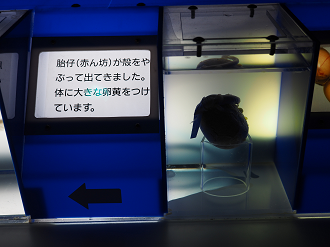 P8090202_thumb.png