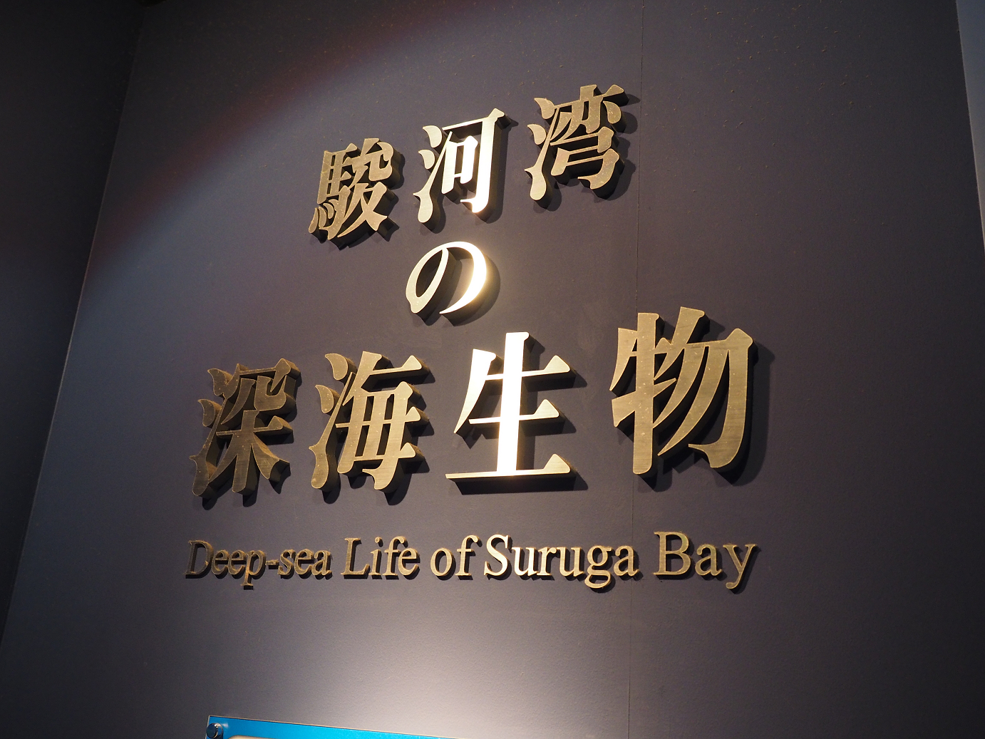 P8090253.jpg
