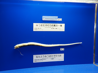 P8090286_thumb.png