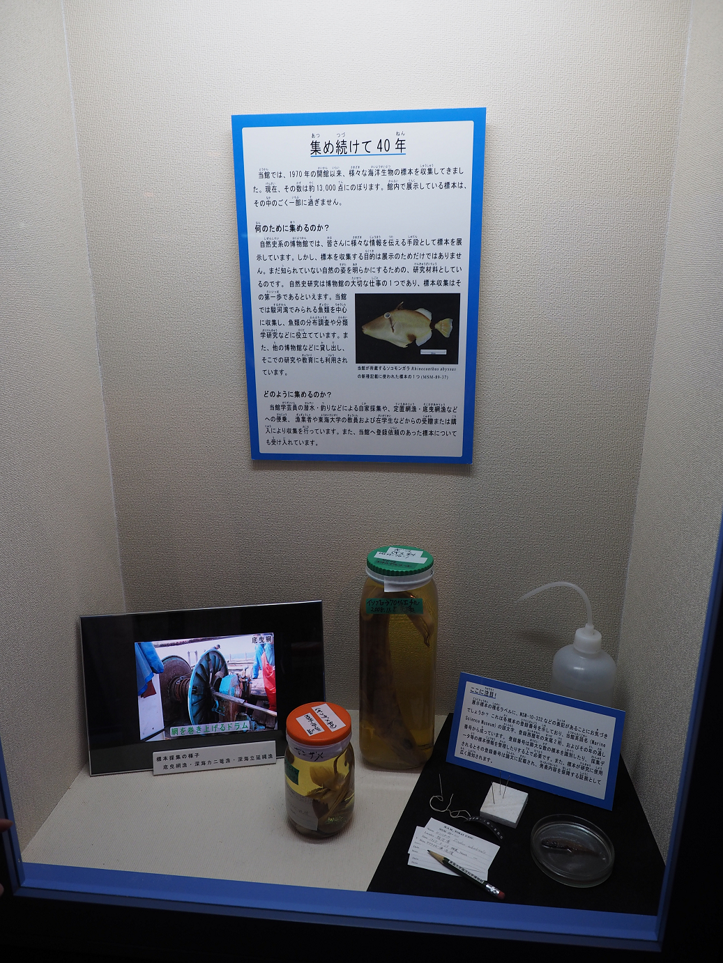 P8090288.jpg