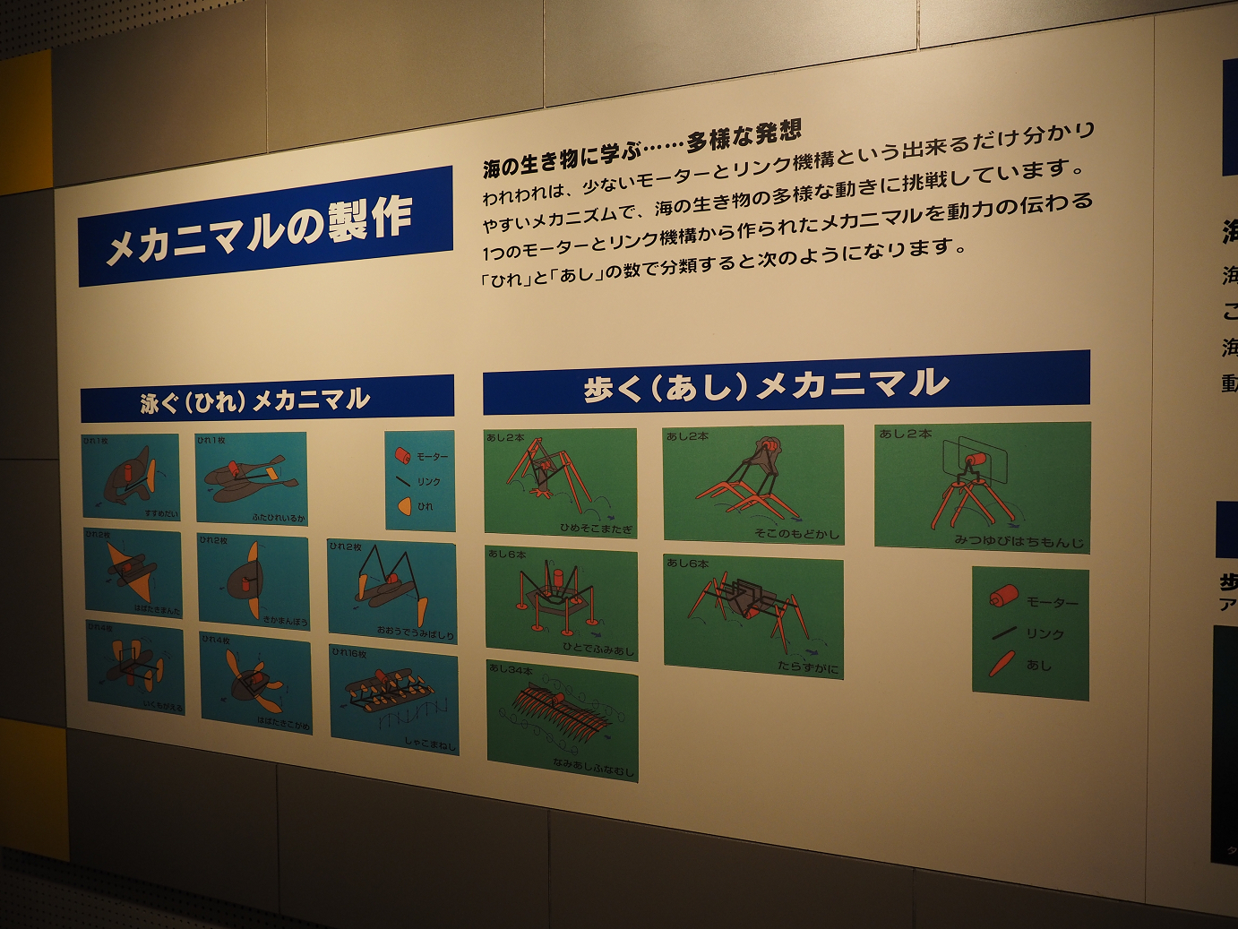 P8090336.jpg